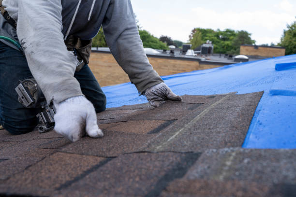 Best Roof Leak Repair  in Evansville, IN